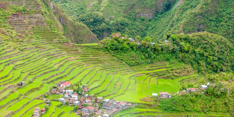 Essa cidade é conhecida como a oitava maravilha do mundo por suas plantações de arroz