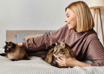 Seu pet dorme com você? Saiba como isso pode afetar sua saúde