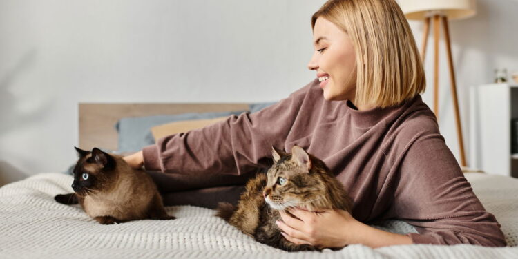 Seu pet dorme com você? Saiba como isso pode afetar sua saúde