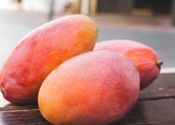 Saiba os motivos da manga ser a melhor fruta tropical para se cultivar em casa