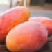Saiba os motivos da manga ser a melhor fruta tropical para se cultivar em casa