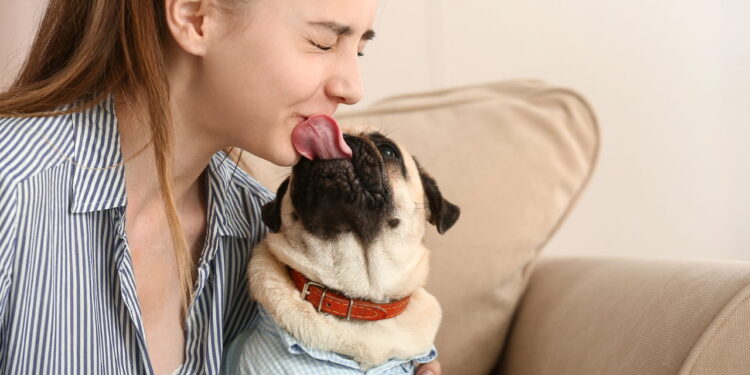 Seu cão te enche de lambidas? Descubra o motivo que ninguém te contou