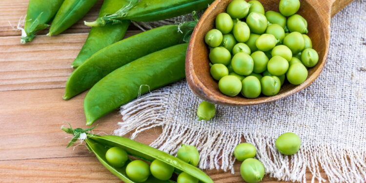 Saiba como ter uma plantação pura e frescas de ervilhas em casa