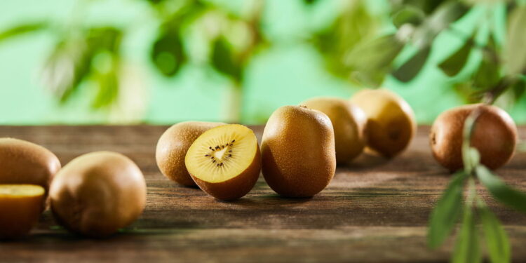 Confira as melhores dicas para conseguir plantar kiwi em casa