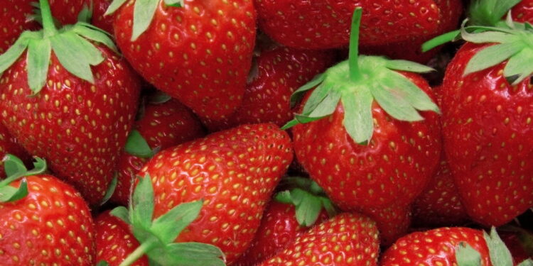 Essa fruta vermelhinha pode transformar sua alimentação