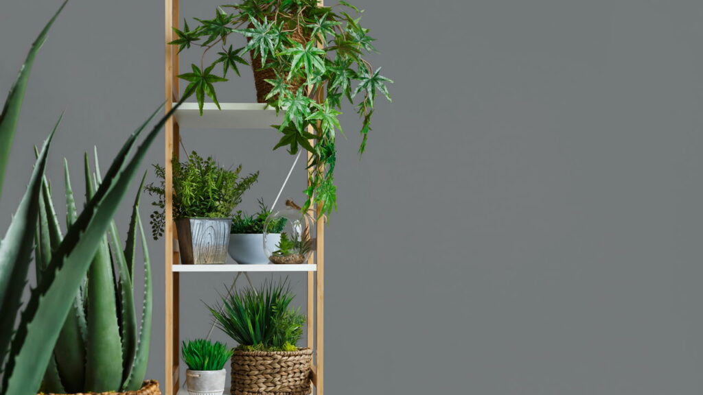 Essas plantas deixam sua casa linda sem colocar seus pets em risco


