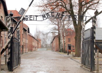 Ele descobriu que era neto de um nazista e fez o impensável