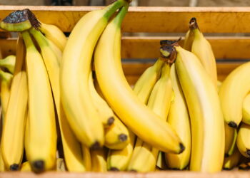Saiba todos os benefícios e nutrientes que o cultivo de bananas em casa te oferecem