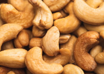 Revelada a melhor forma de cultivar caju em casa e lucrar com a venda das castanhas!