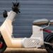 Moto elétrica de uma empresa brasileira ganha destaque internacionalmente pela sua economia