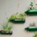 Esse truque com PET vai deixar seu jardim encantador