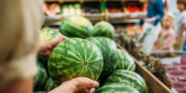 Veja dicas incríveis que vão te surpreender do quão fácil que é cultivar melancia em casa