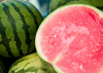 Saiba os benefícios de ter um cultivo saudável e sem agrotóxicos de melancia no seu jardim
