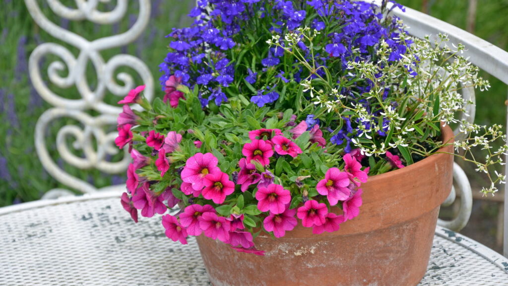 Como flores pequenas revolucionam a decoração de casa e o bem-estar