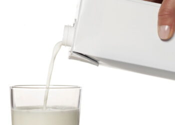 Este artesanato com caixas de leite é mais útil do que parece