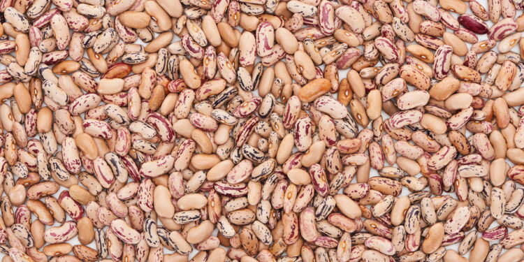 Como deixar o feijão de molho da forma correta e evitar inchaço