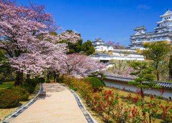 O Japão e suas peculiaridades que você precisa conhecer