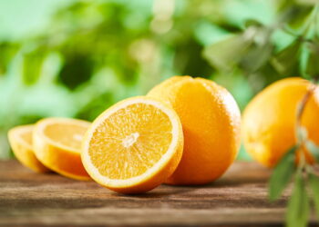 Saiba as vantagens de cultivar laranja em casa e aprenda como manter um pomar saudável no seu quintal!