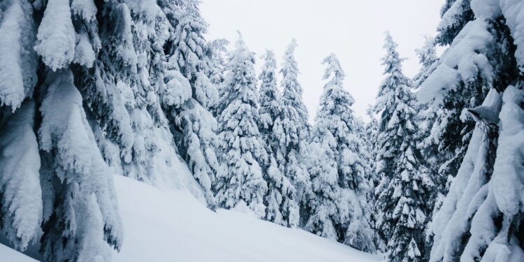 Você não vai acreditar que existem até 4 tipos diferentes de neve