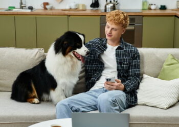 Os nomes de pets mais populares do mundo e seus significados