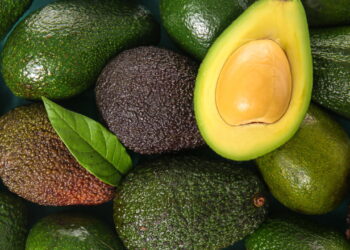 Aprenda a cultivar abacate em seu quintal de forma fácil e rápida