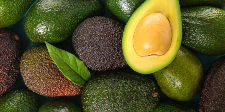 Aprenda a cultivar abacate em seu quintal de forma fácil e rápida