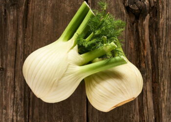 Saiba quais são os maiores benefícios que a erva-doce traz para sua saúde