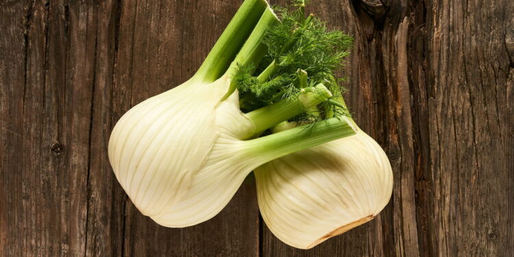 Saiba quais são os maiores benefícios que a erva-doce traz para sua saúde