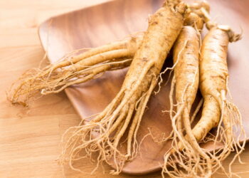 Ginseng é a planta medicinal que conquista quem cuida da saúde naturalmente