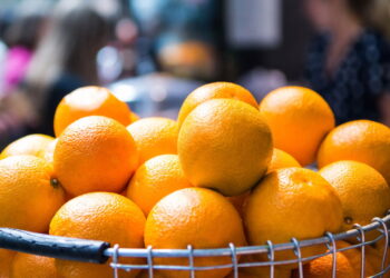 Veja as formas mais rápidas e fáceis para ter um cultivo de laranja em seu quintal