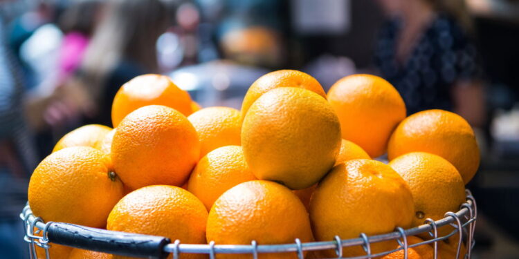 Veja as formas mais rápidas e fáceis para ter um cultivo de laranja em seu quintal