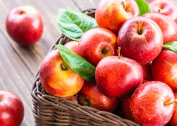 Saiba os maiores benefícios e aprenda a ter um cultivo de maçã em casa