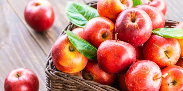 Confira dicas essenciais para cultivar maçãs em casa e preparar suas receitas