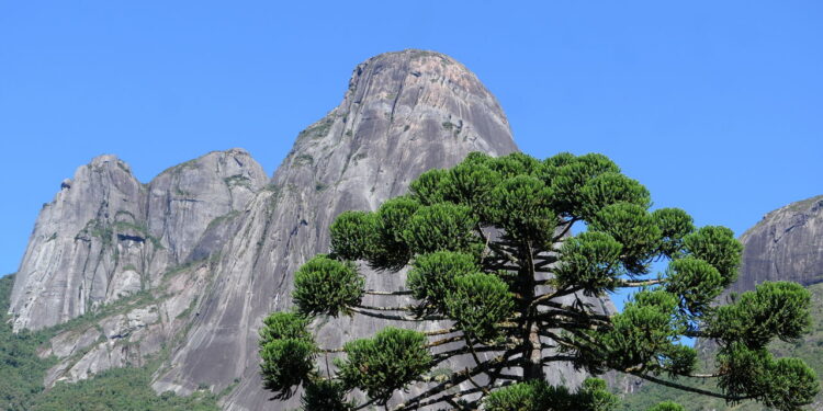 Essa é a cidade do Rio onde a tranquilidade reina e encanta novos moradores