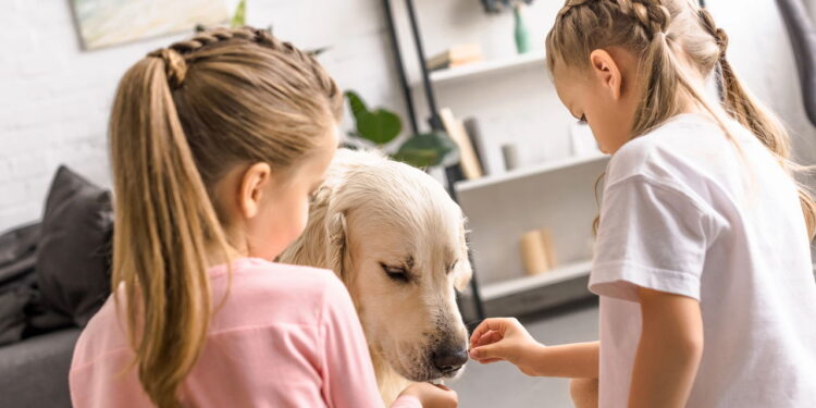 Seu nome pode estar determinando a forma como o mundo enxerga você