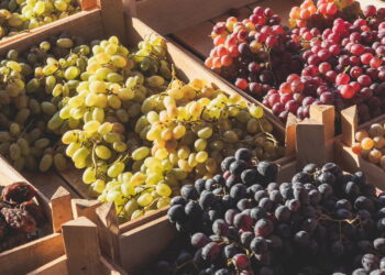 Aprenda a ter um cultivo de uvas em casa sem erro e com facilidade