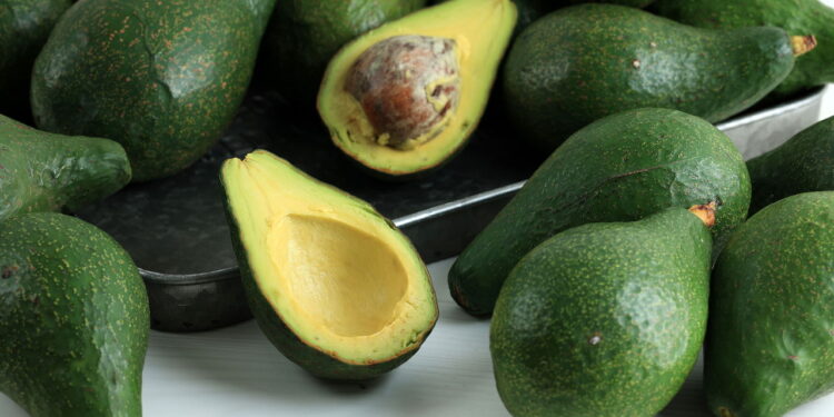 Saiba a ter um cultivo produtivo e próspero de abacate em casa