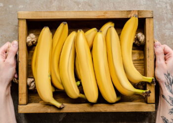 Esses são os melhores métodos para ter um cultivo de banana em casa