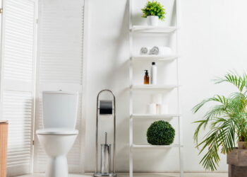 As 6 melhores plantas para deixar no banheiro