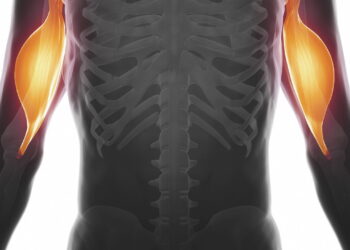 Os 5 melhores exercícios para fortalecer os bíceps e melhorar a força dos braços em casa