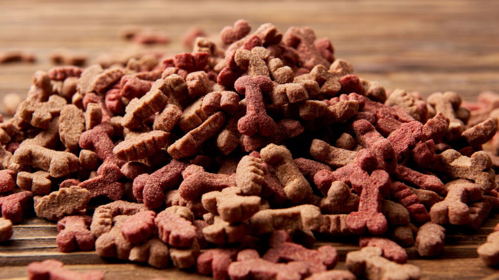 Seu pet pode viver mais e melhor com essas mudanças na alimentação

