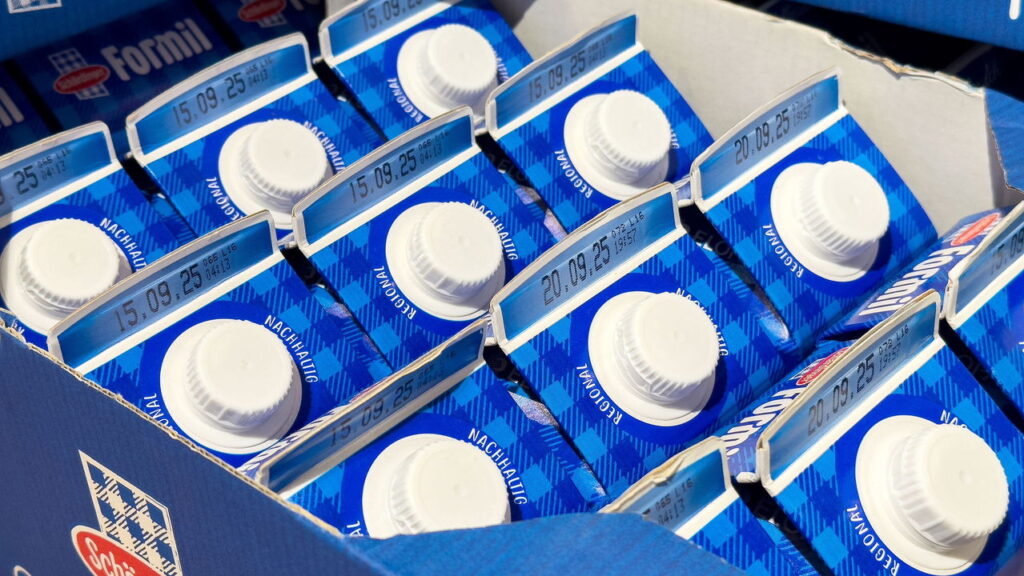 Técnica com caixas de leite virou tendência entre artesãos brasileiros