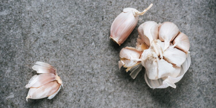 O truque da água de casca de alho que transforma seu jardim em ouro