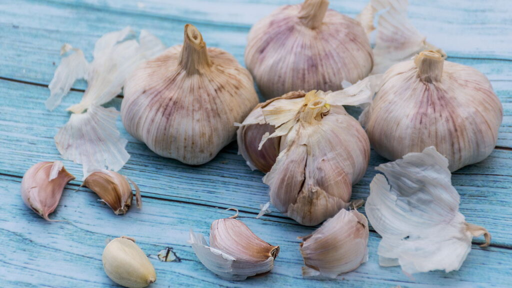 O truque da água de casca de alho que transforma seu jardim em ouro