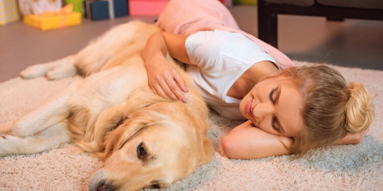 Seu pet dorme com você? A resposta pode impactar seu bem-estar