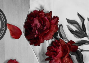 Aos 26 anos, morreu uma das vozes mais marcantes do sertanejo