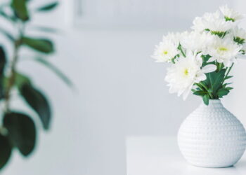 A floreira mais prática e sustentável para pequenos espaços