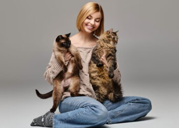 Ter um gato é um dos melhores remédios naturais contra o estresse