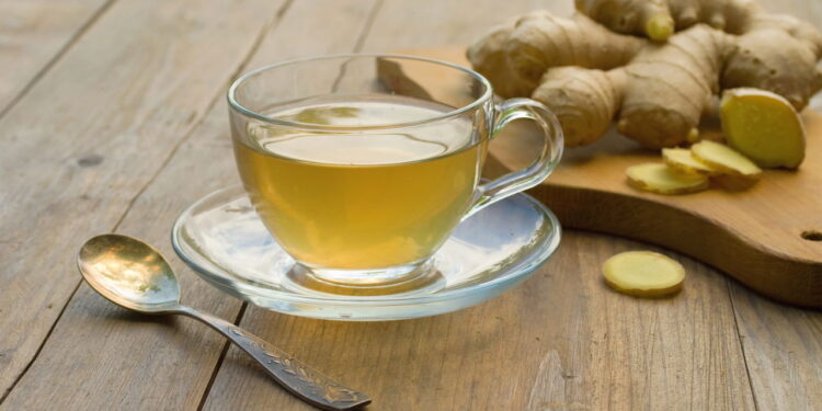 Veja como cultivar gengibre em casa pode transformar sua saúde naturalmente