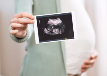 Os nomes que estão dominando os cartórios e prometem bombar em 2025